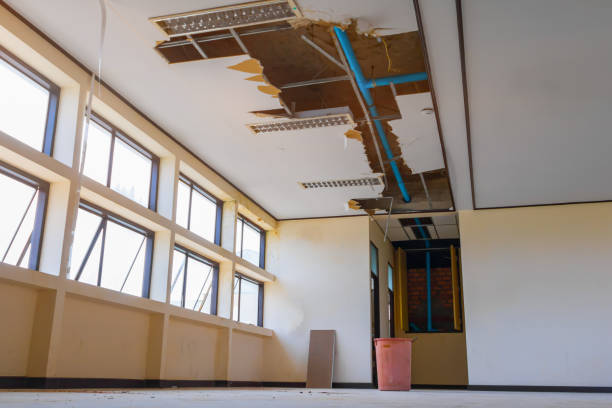 Best Water damage restoration near me  in Hawthorne, CA