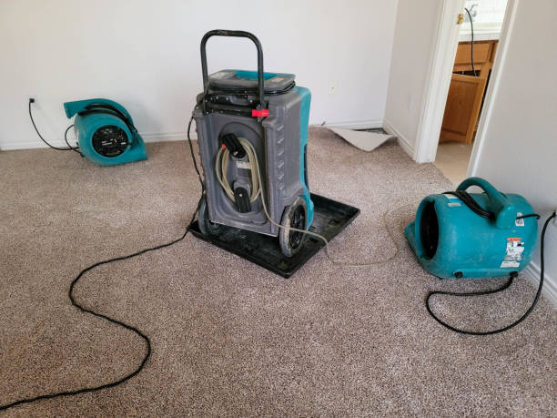 Best Flood damage cleanup  in Hawthorne, CA