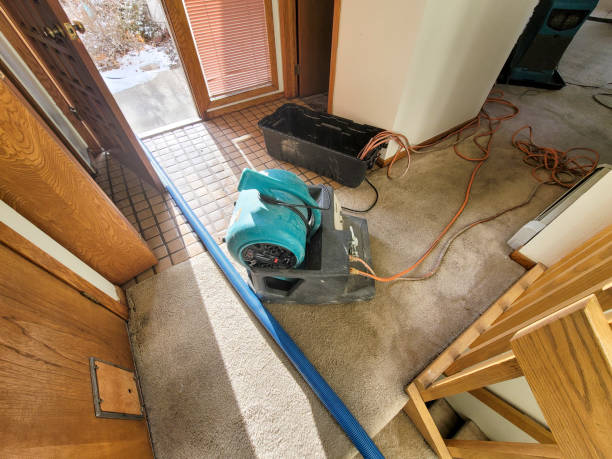 Best Basement water damage restoration  in Hawthorne, CA