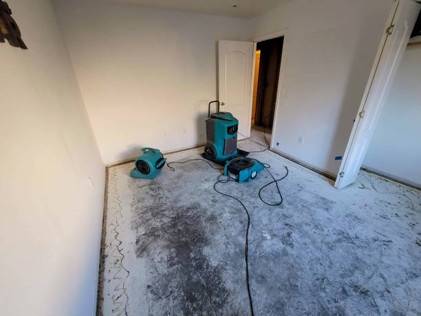 Best 24-hour water damage restoration  in Hawthorne, CA