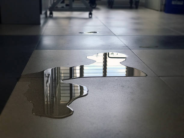 Best Commercial water damage restoration  in Hawthorne, CA