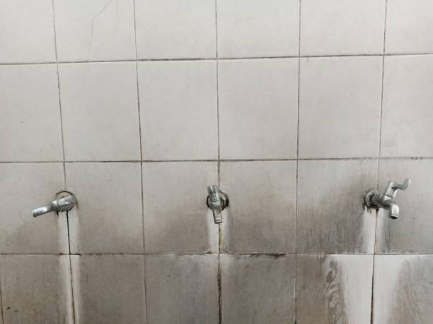 Best Flood restoration services  in Hawthorne, CA